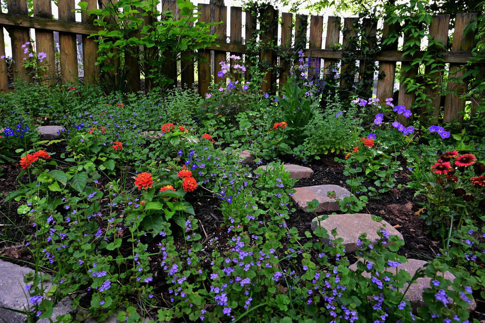 Bee garden