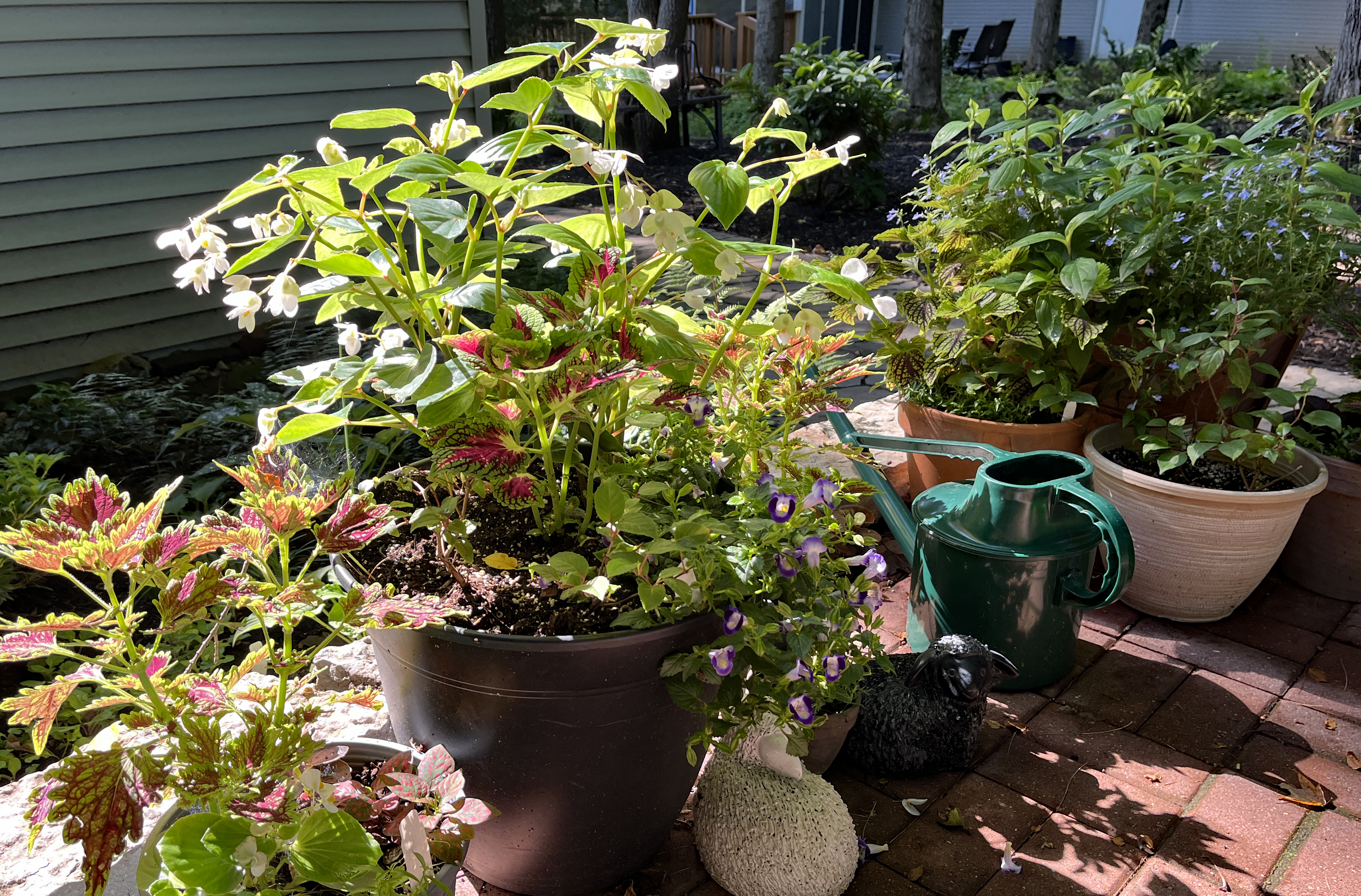 South garden patio