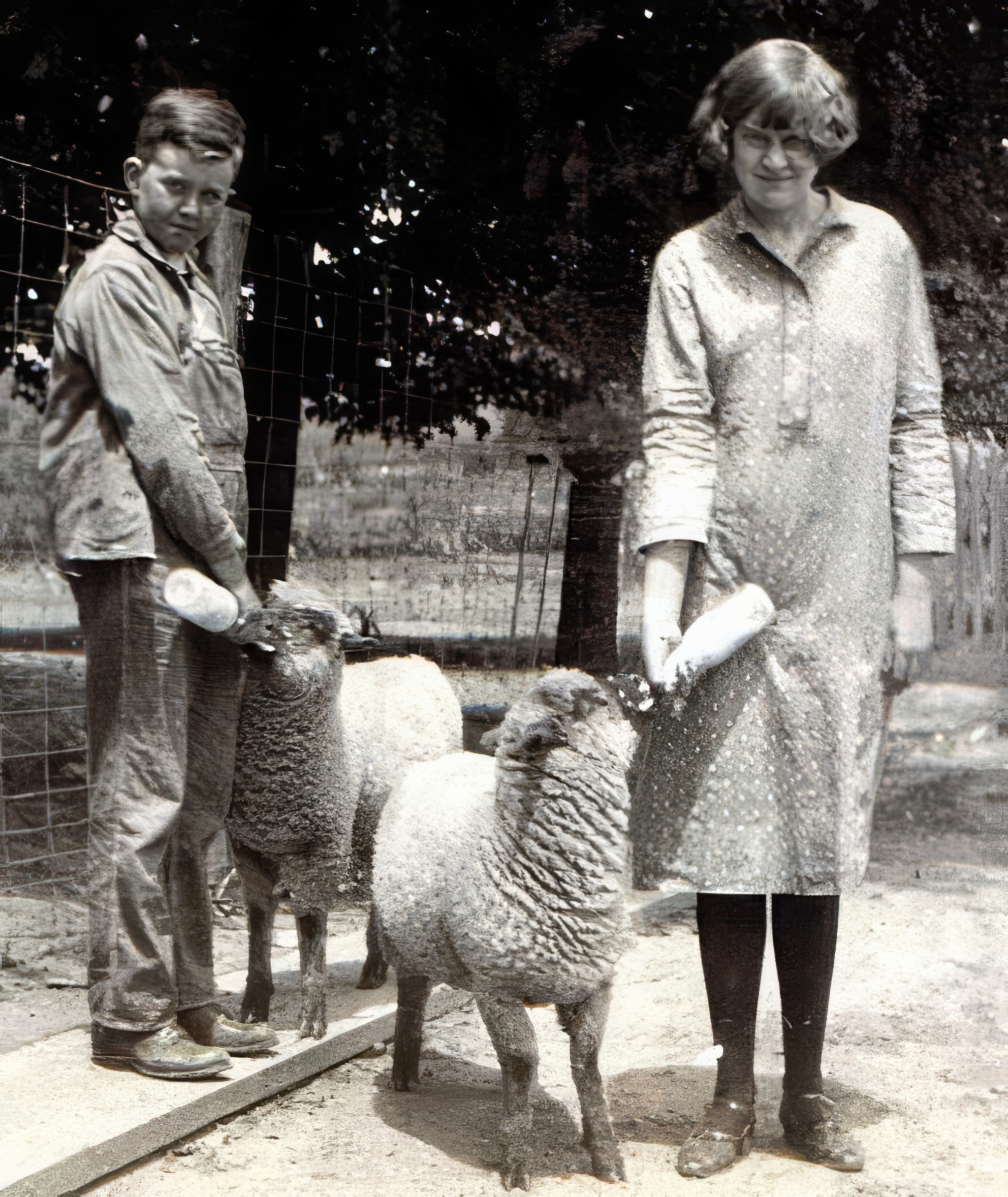 Elmer and his sister Alpha Trabant feeding lambs, somewhere in Indiana