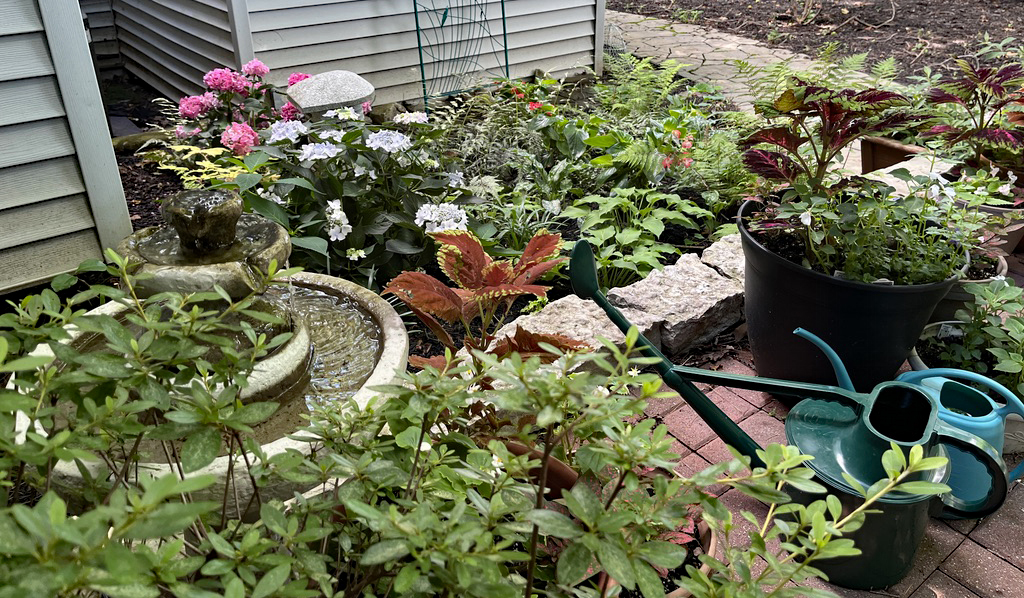 South patio garden